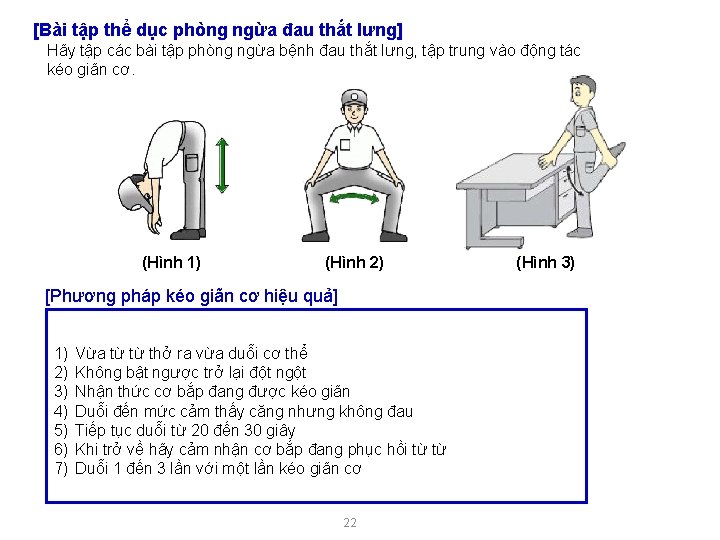 [Bài tập thể dục phòng ngừa đau thắt lưng] Hãy tập các bài tập