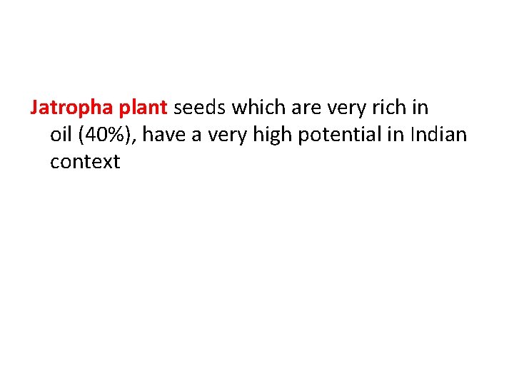 Jatropha plant seeds which are very rich in oil (40%), have a very high