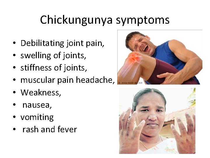 Chickungunya symptoms • • Debilitating joint pain, swelling of joints, stiffness of joints, muscular