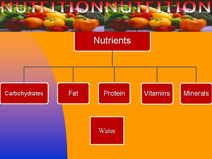 Nutrients Carbohydrates Fat Protein Water Vitamins Minerals 