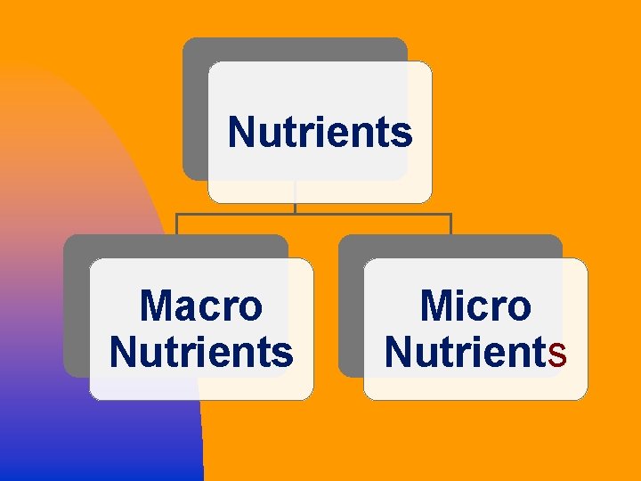 Nutrients Macro Nutrients Micro Nutrients 