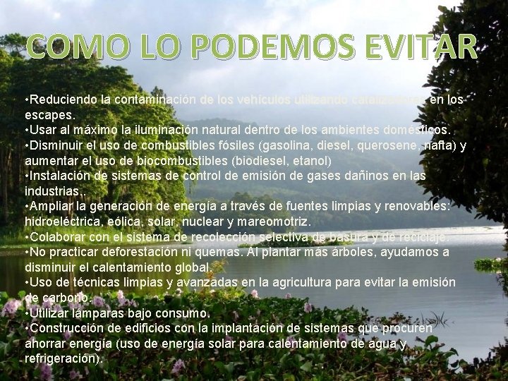 COMO LO PODEMOS EVITAR • Reduciendo la contaminación de los vehículos utilizando catalizadores en