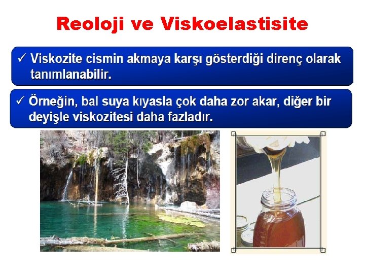 Reoloji ve Viskoelastisite 