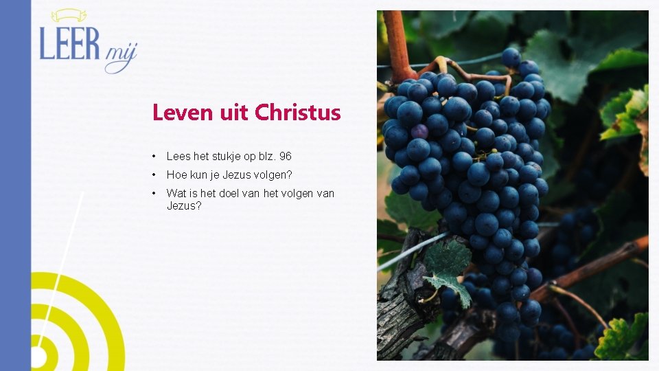 Leven uit Christus • Lees het stukje op blz. 96 • Hoe kun je