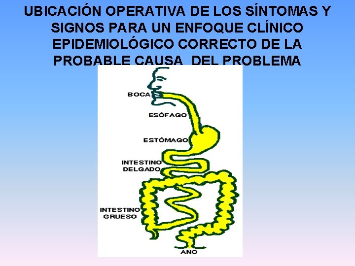 UBICACIÓN OPERATIVA DE LOS SÍNTOMAS Y SIGNOS PARA UN ENFOQUE CLÍNICO EPIDEMIOLÓGICO CORRECTO DE