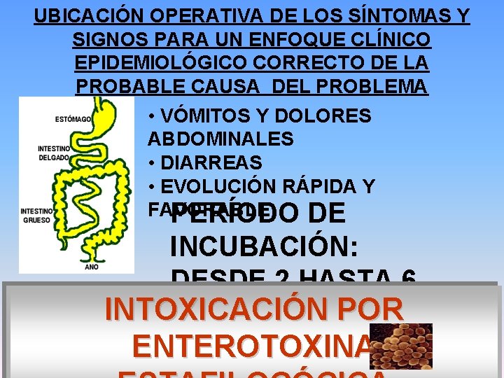 UBICACIÓN OPERATIVA DE LOS SÍNTOMAS Y SIGNOS PARA UN ENFOQUE CLÍNICO EPIDEMIOLÓGICO CORRECTO DE