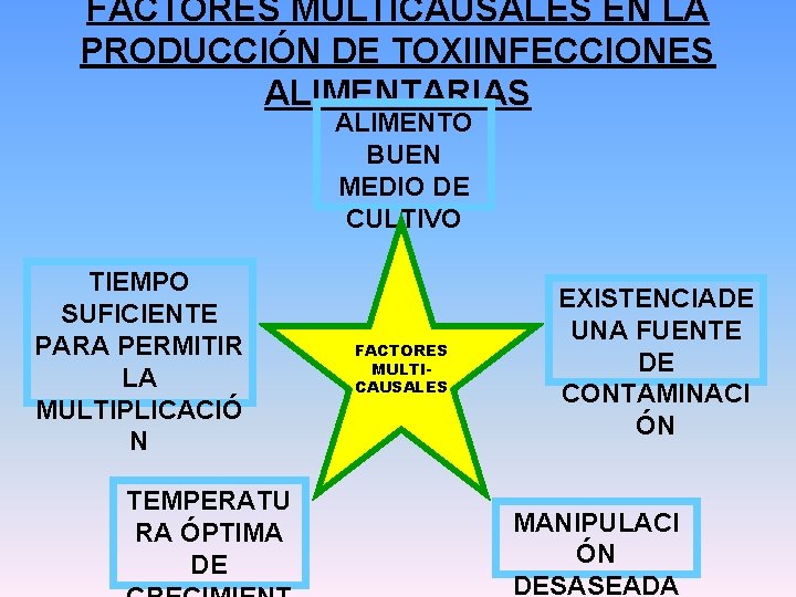 FACTORES MULTICAUSALES EN LA PRODUCCIÓN DE TOXIINFECCIONES ALIMENTARIAS ALIMENTO BUEN MEDIO DE CULTIVO TIEMPO