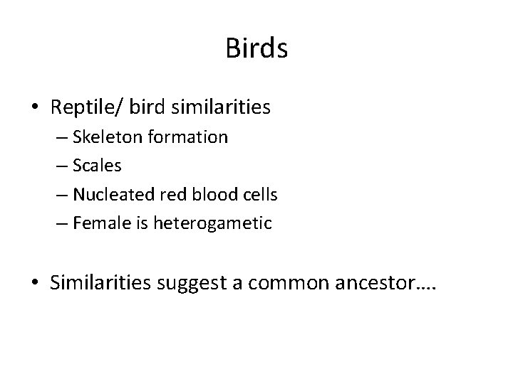 Birds • Reptile/ bird similarities – Skeleton formation – Scales – Nucleated red blood