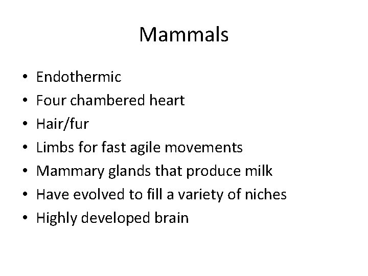 Mammals • • Endothermic Four chambered heart Hair/fur Limbs for fast agile movements Mammary