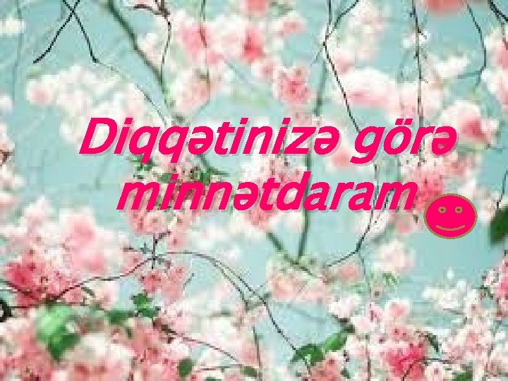 Diqqətinizə görə minnətdaram 