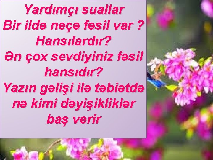 Yardımçı suallar Bir ildə neçə fəsil var ? Hansılardır? Ən çox sevdiyiniz fəsil hansıdır?