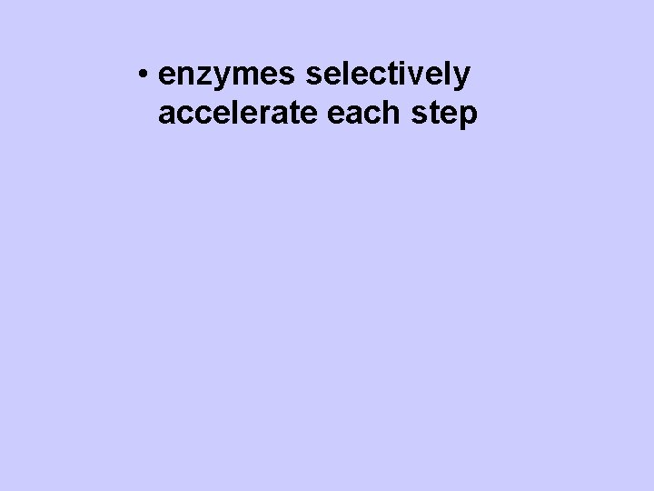  • enzymes selectively accelerate each step 