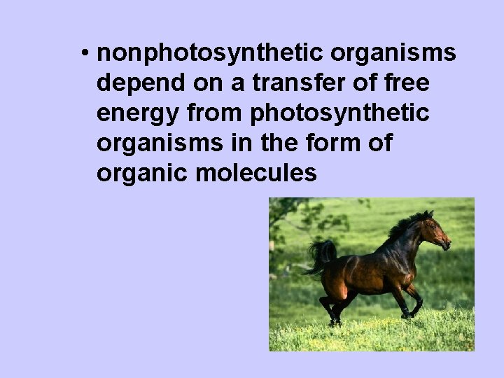  • nonphotosynthetic organisms depend on a transfer of free energy from photosynthetic organisms