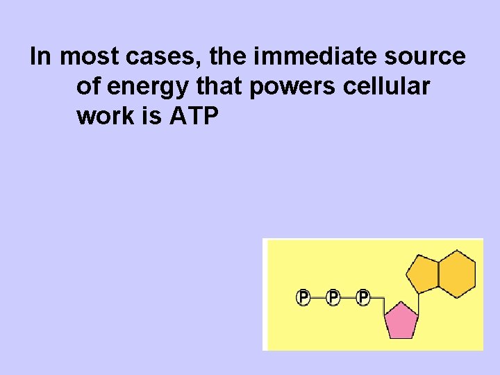 In most cases, the immediate source of energy that powers cellular work is ATP