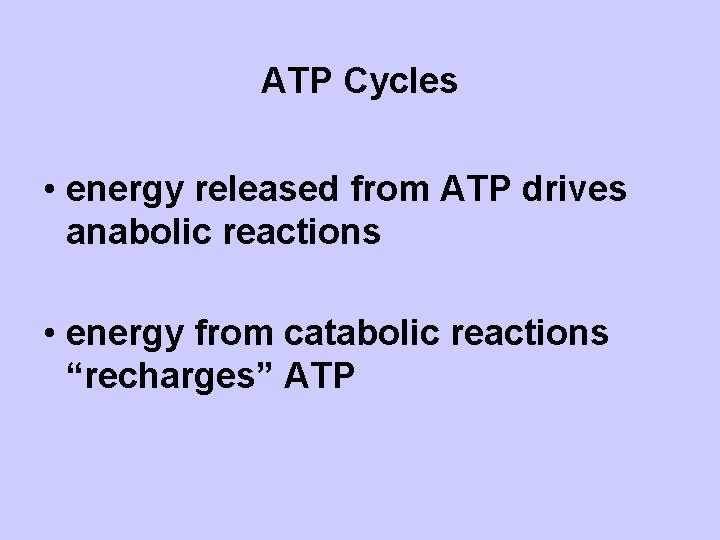 ATP Cycles • energy released from ATP drives anabolic reactions • energy from catabolic