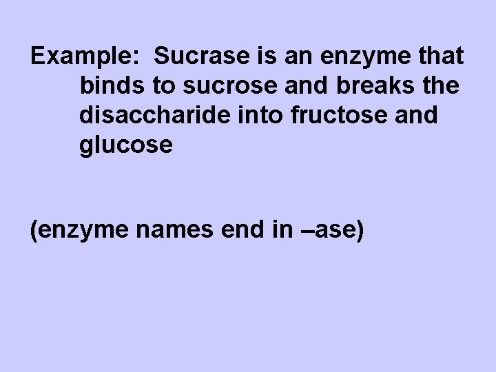 Example: Sucrase is an enzyme that binds to sucrose and breaks the disaccharide into