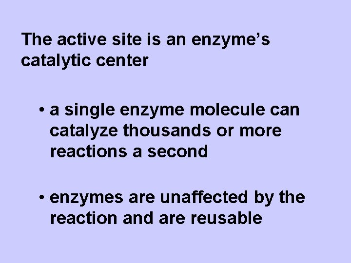 The active site is an enzyme’s catalytic center • a single enzyme molecule can