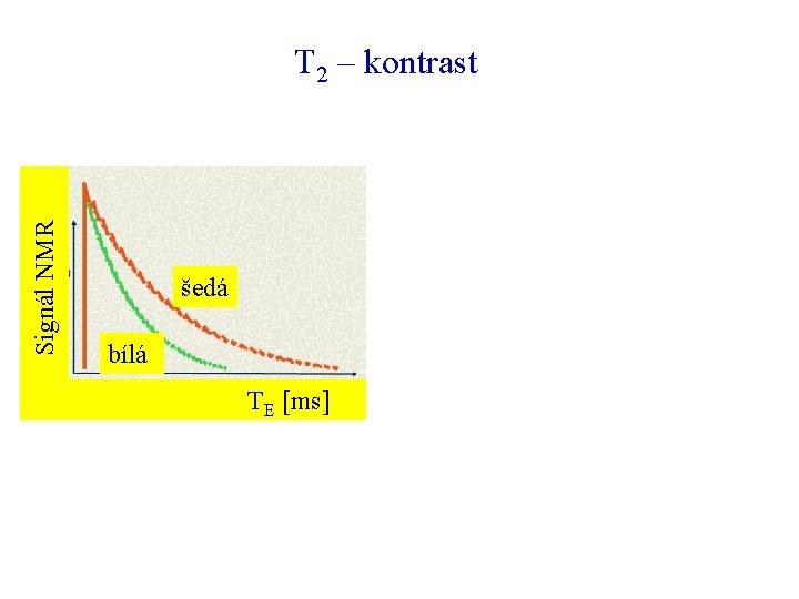 Signál NMR T 2 – kontrast šedá bílá TE [ms] 