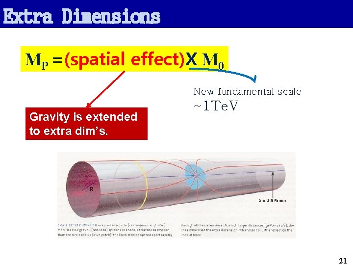 Extra Dimensions MP =(spatial effect)X M 0 New fundamental scale Gravity is extended to