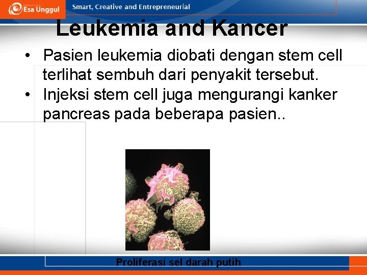Leukemia and Kancer • Pasien leukemia diobati dengan stem cell terlihat sembuh dari penyakit
