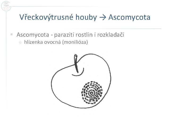 Vřeckovýtrusné houby → Ascomycota § Ascomycota - paraziti rostlin i rozkladači hlízenka ovocná (monilióza)