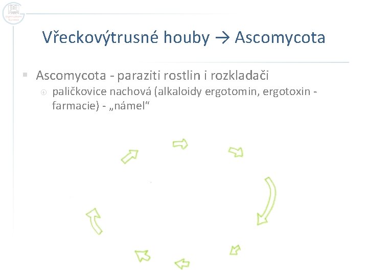 Vřeckovýtrusné houby → Ascomycota § Ascomycota - paraziti rostlin i rozkladači paličkovice nachová (alkaloidy