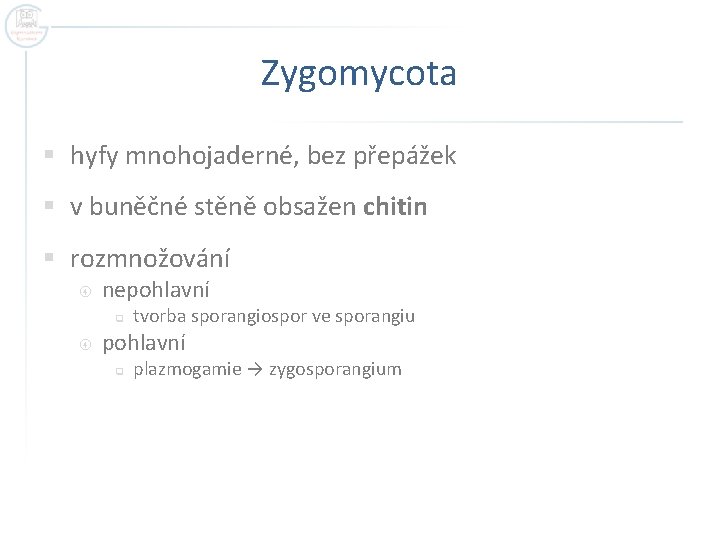 Zygomycota § hyfy mnohojaderné, bez přepážek § v buněčné stěně obsažen chitin § rozmnožování