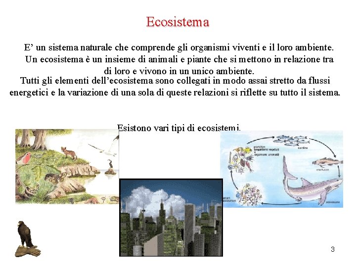Ecosistema E’ un sistema naturale che comprende gli organismi viventi e il loro ambiente.