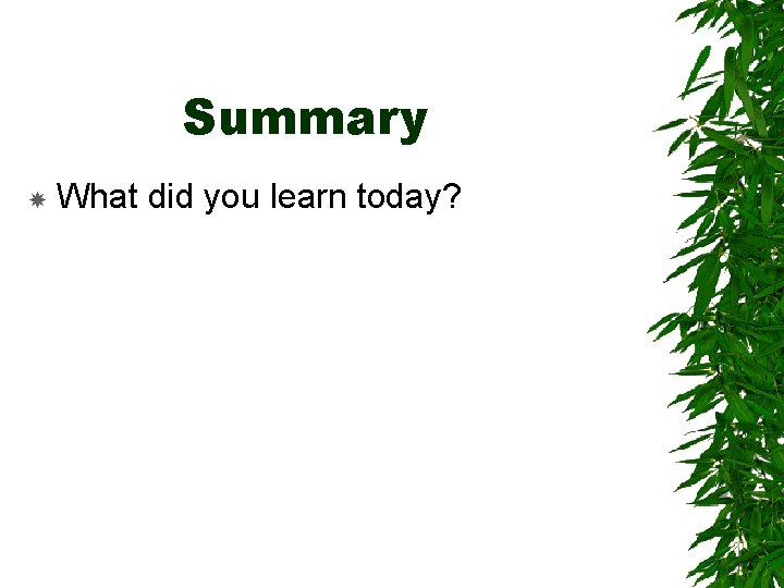 Summary What did you learn today? 