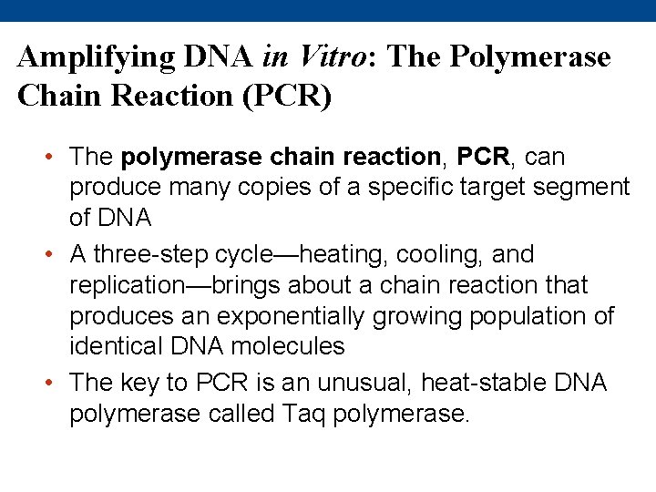 Amplifying DNA in Vitro: The Polymerase Chain Reaction (PCR) • The polymerase chain reaction,