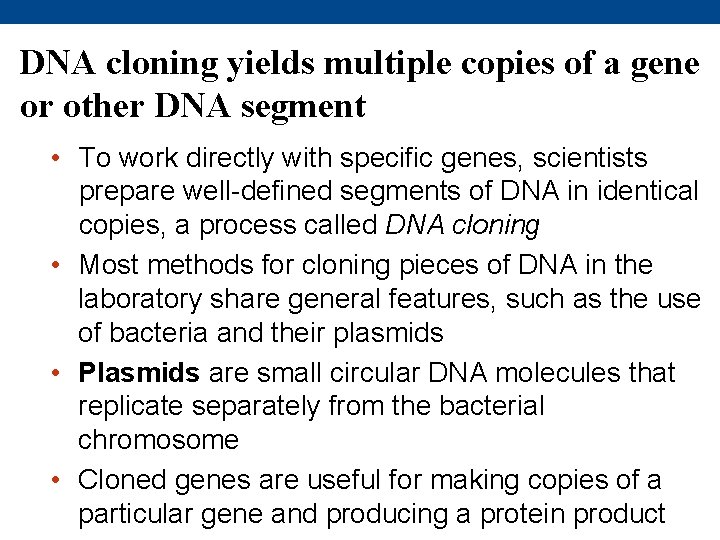 DNA cloning yields multiple copies of a gene or other DNA segment • To