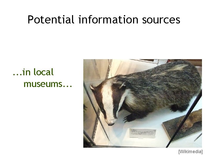 Potential information sources . . . in local museums. . . [Wikimedia] 