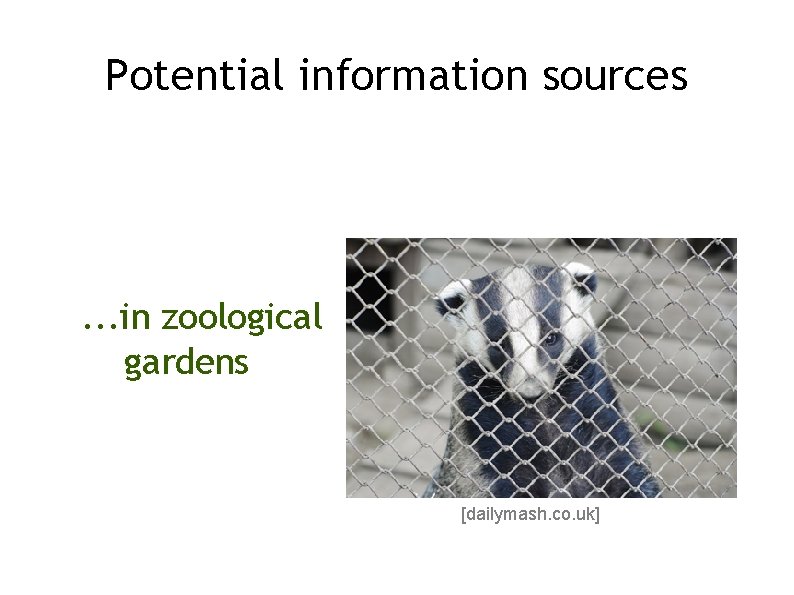 Potential information sources . . . in zoological gardens [dailymash. co. uk] 