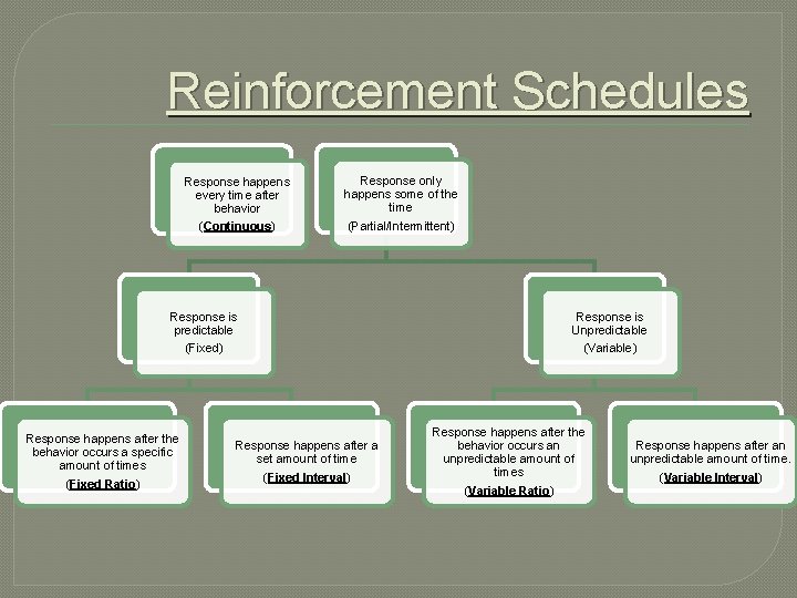 Reinforcement Schedules Response happens every time after behavior (Continuous) Response only happens some of