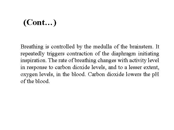(Cont…) Breathing is controlled by the medulla of the brainstem. It repeatedly triggers contraction