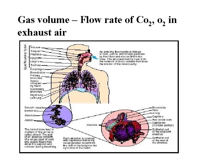Gas volume – Flow rate of Co 2, o 2 in exhaust air 