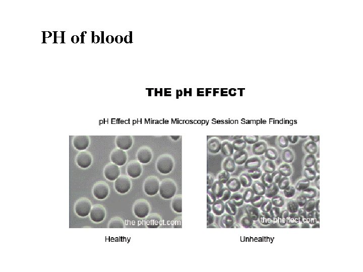 PH of blood 