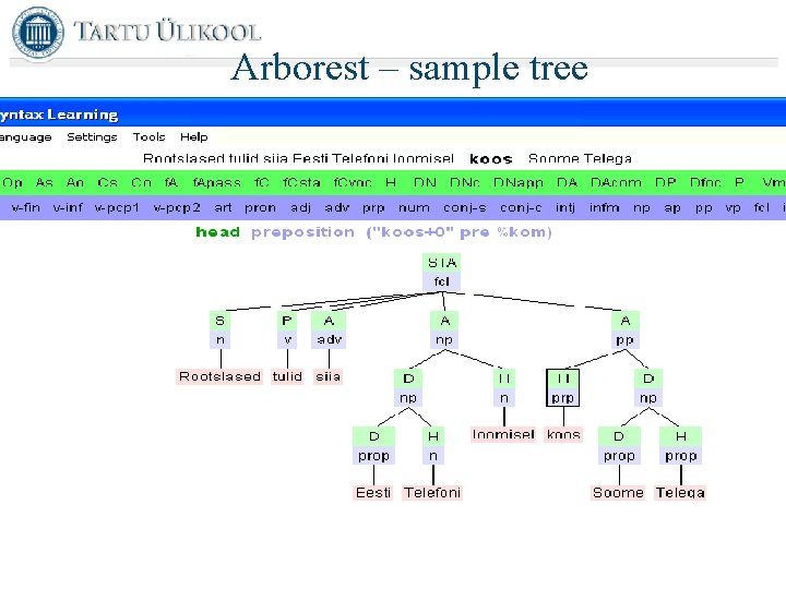 Arborest – sample tree 