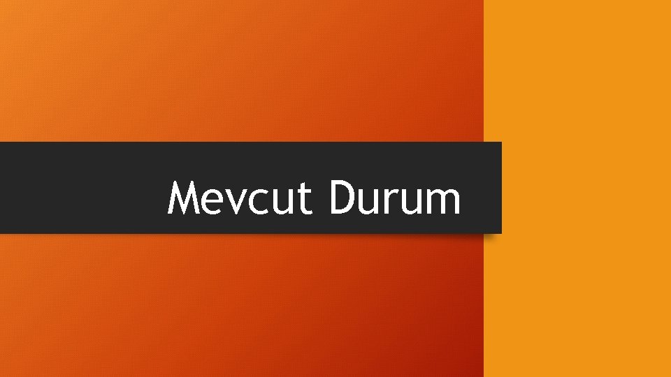 Mevcut Durum 