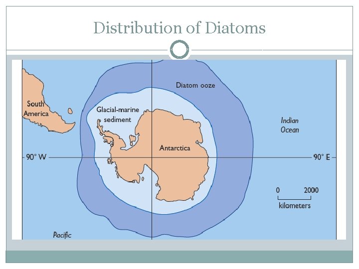 Distribution of Diatoms 