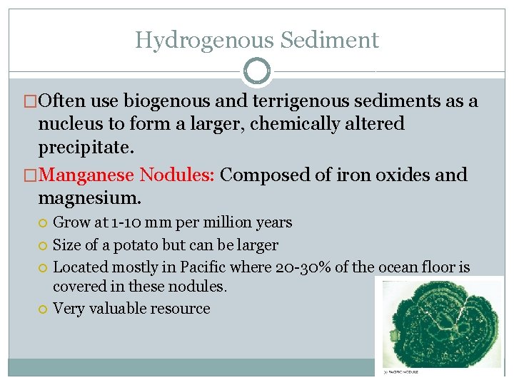 Hydrogenous Sediment �Often use biogenous and terrigenous sediments as a nucleus to form a
