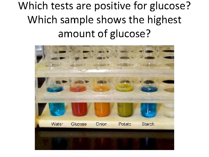 Which tests are positive for glucose? Which sample shows the highest amount of glucose?