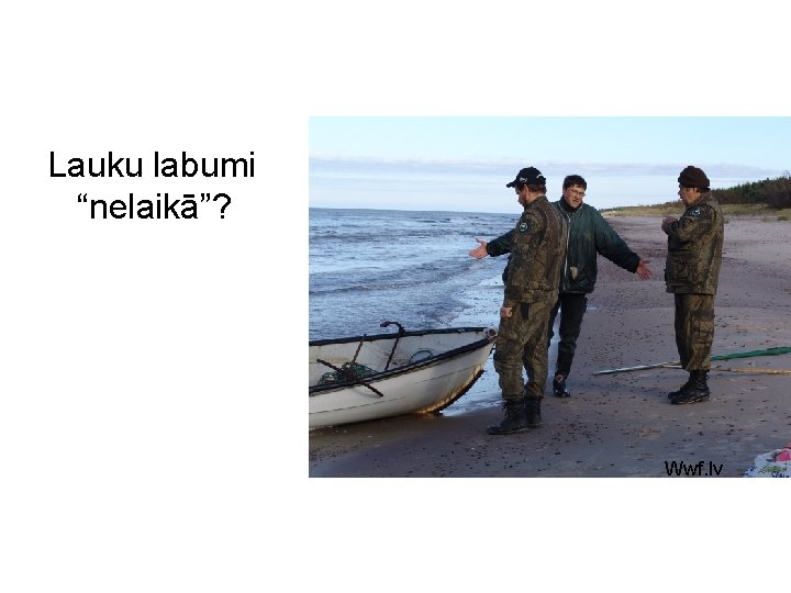 Lauku labumi “nelaikā”? Wwf. lv 