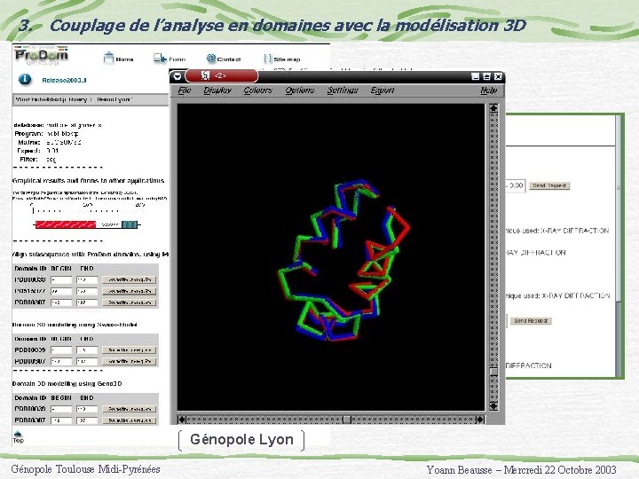 3. Couplage de l’analyse en domaines avec la modélisation 3 D Modélisation par Swiss-Model