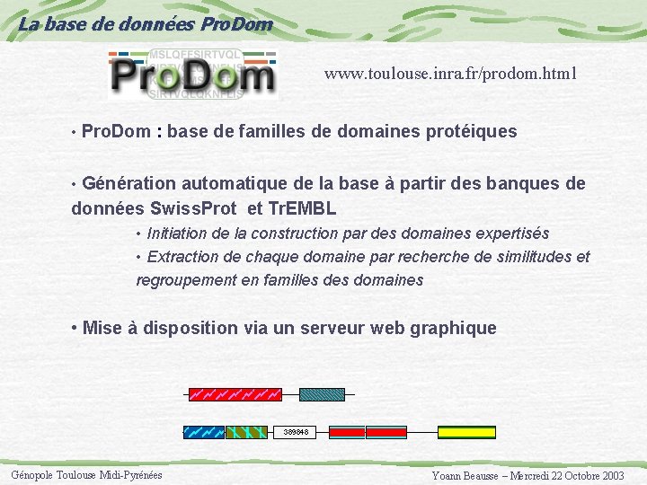 La base de données Pro. Dom www. toulouse. inra. fr/prodom. html • Pro. Dom