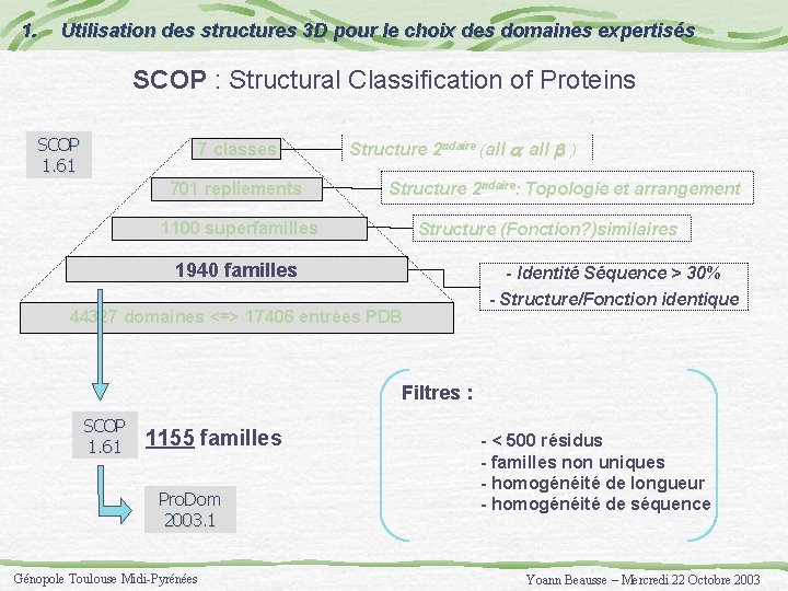 1. Utilisation des structures 3 D pour le choix des domaines expertisés SCOP :