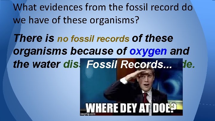 What evidences from the fossil record do we have of these organisms? There is