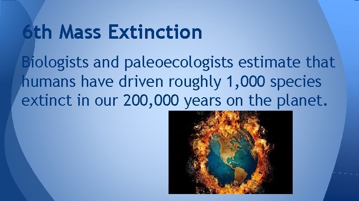 6 th Mass Extinction Biologists and paleoecologists estimate that humans have driven roughly 1,