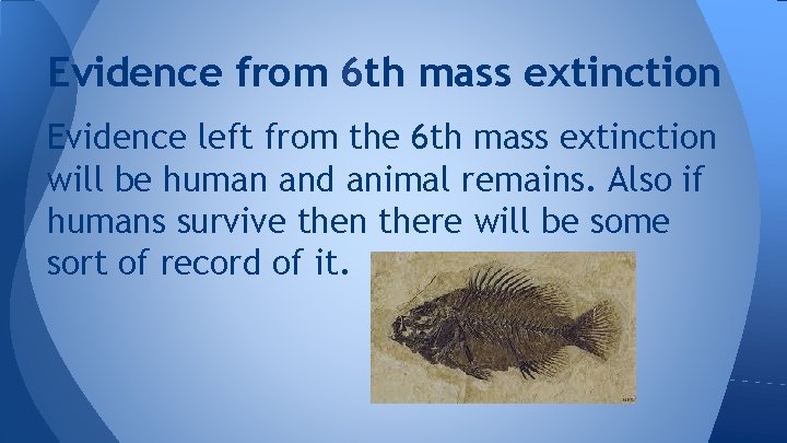Evidence from 6 th mass extinction Evidence left from the 6 th mass extinction