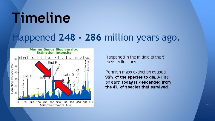 Timeline Happened 248 - 286 million years ago. Happened in the middle of the
